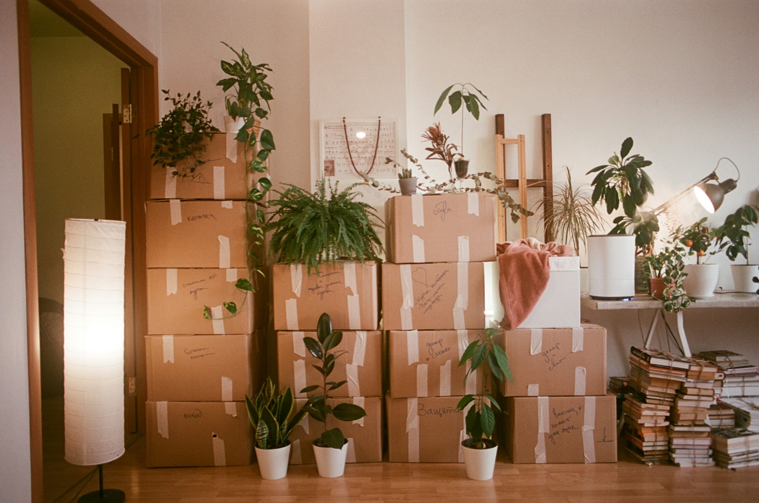 dream of moving house symbol of transition and change