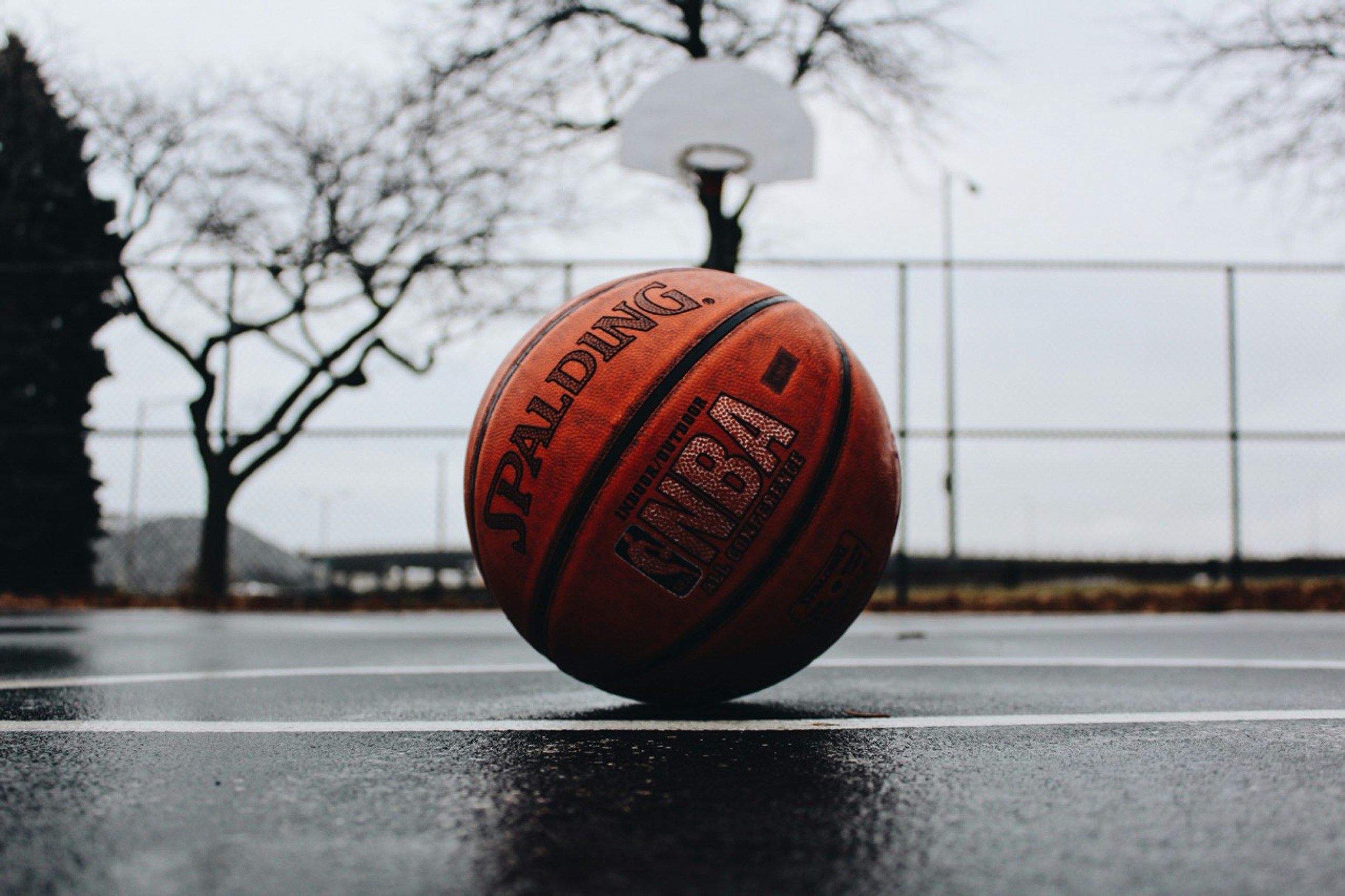 nba champion dream meaning victory and success