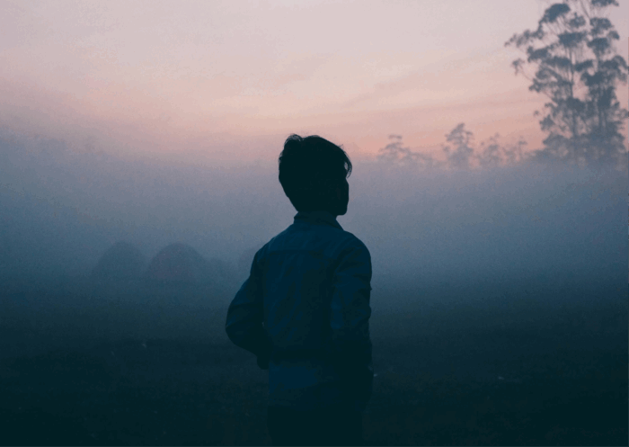 dream interpretation dreams nightmare nightmares