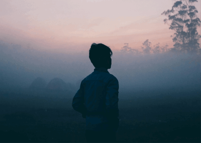 dream interpretation dreams nightmare nightmares