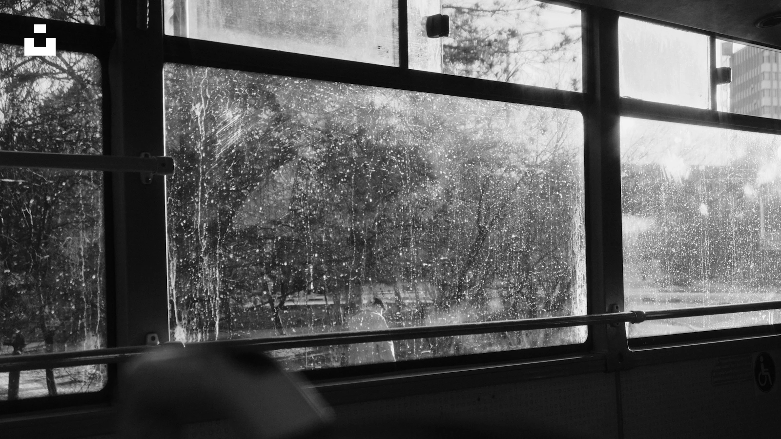 Dream About Rain Inside the House: When Emotions Leak Into Private Space