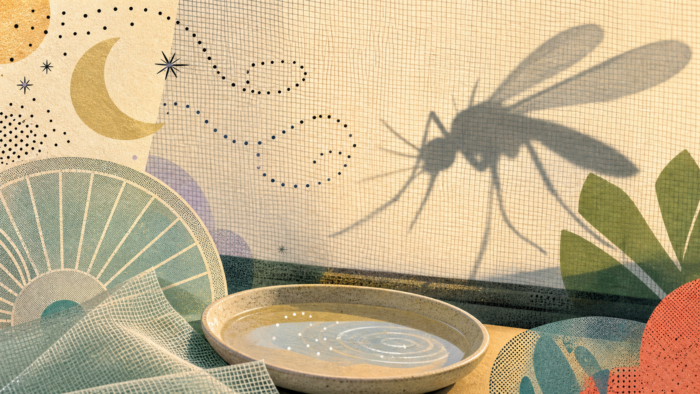 A layered silkscreen image of a mosquito shadow behind window mesh with fan arcs, netting, a water dish, moon shapes, and dotted dream trails, illustrating mosquito dreams and summer buzzing anxiety